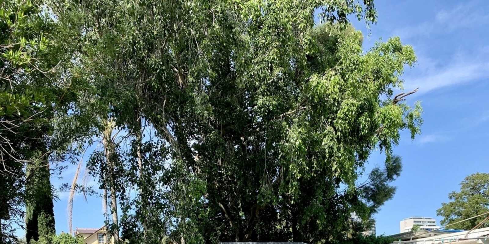 27 Luke Avenue Burwood