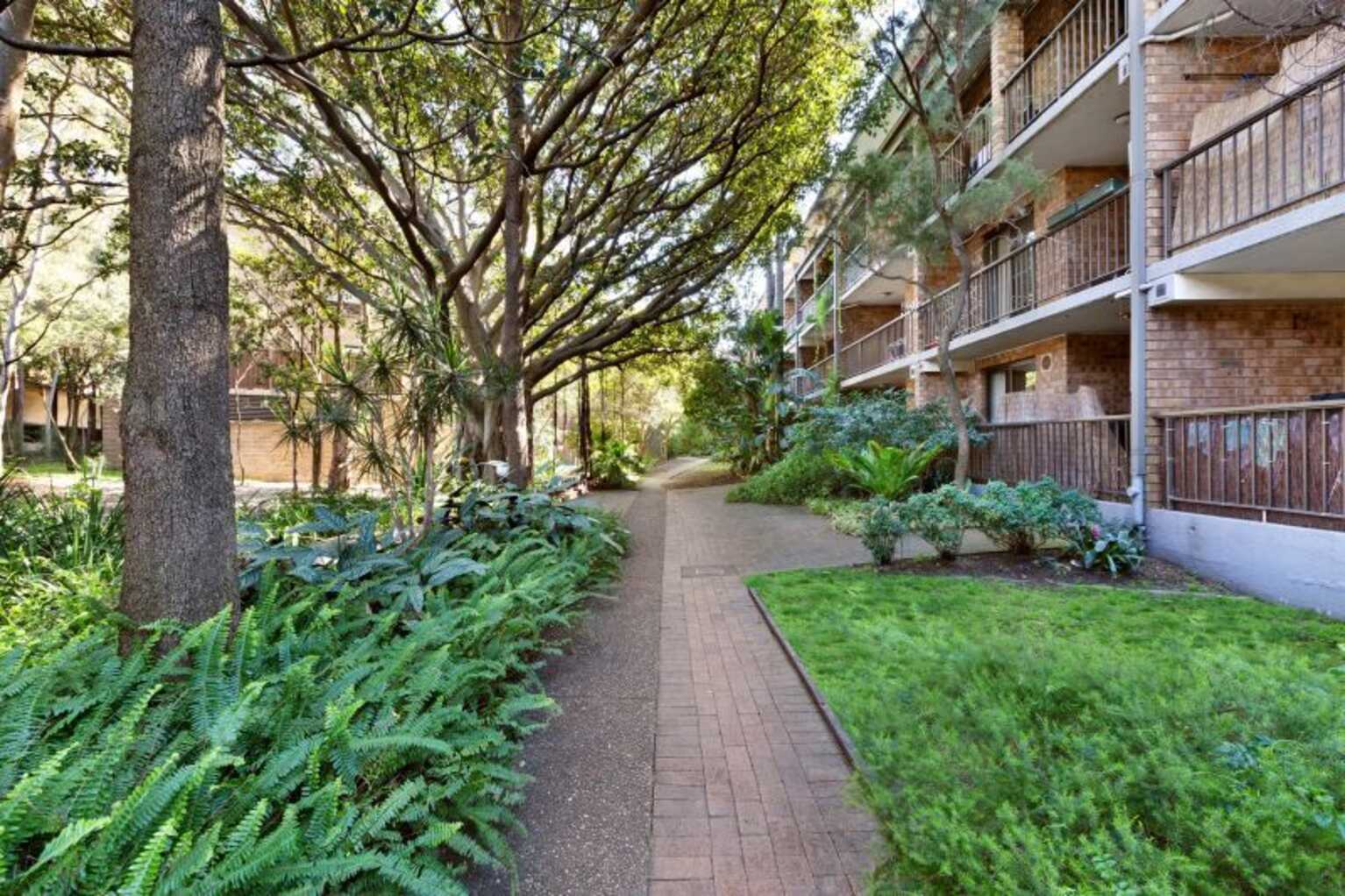 130/313 Harris Street Pyrmont 130/313 Harris Street Pyrmont
