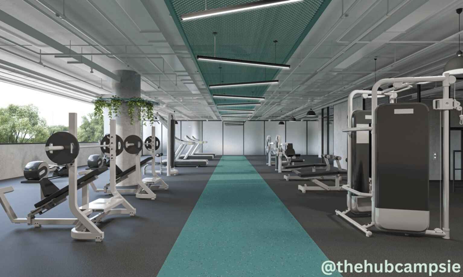 433 Canterbury Road Campsie