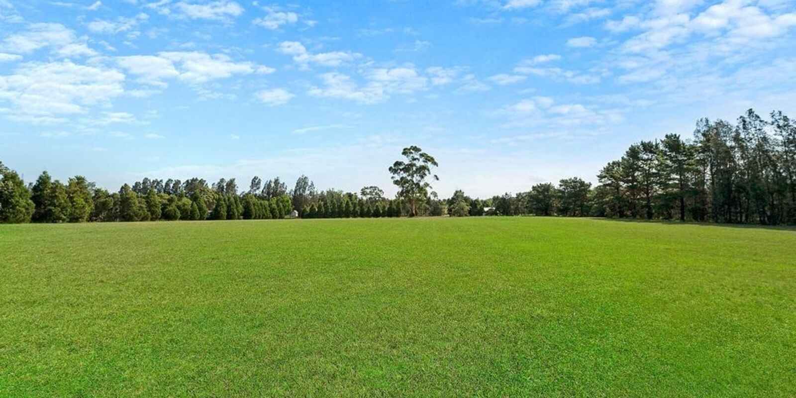 813 Windsor Road Box Hill