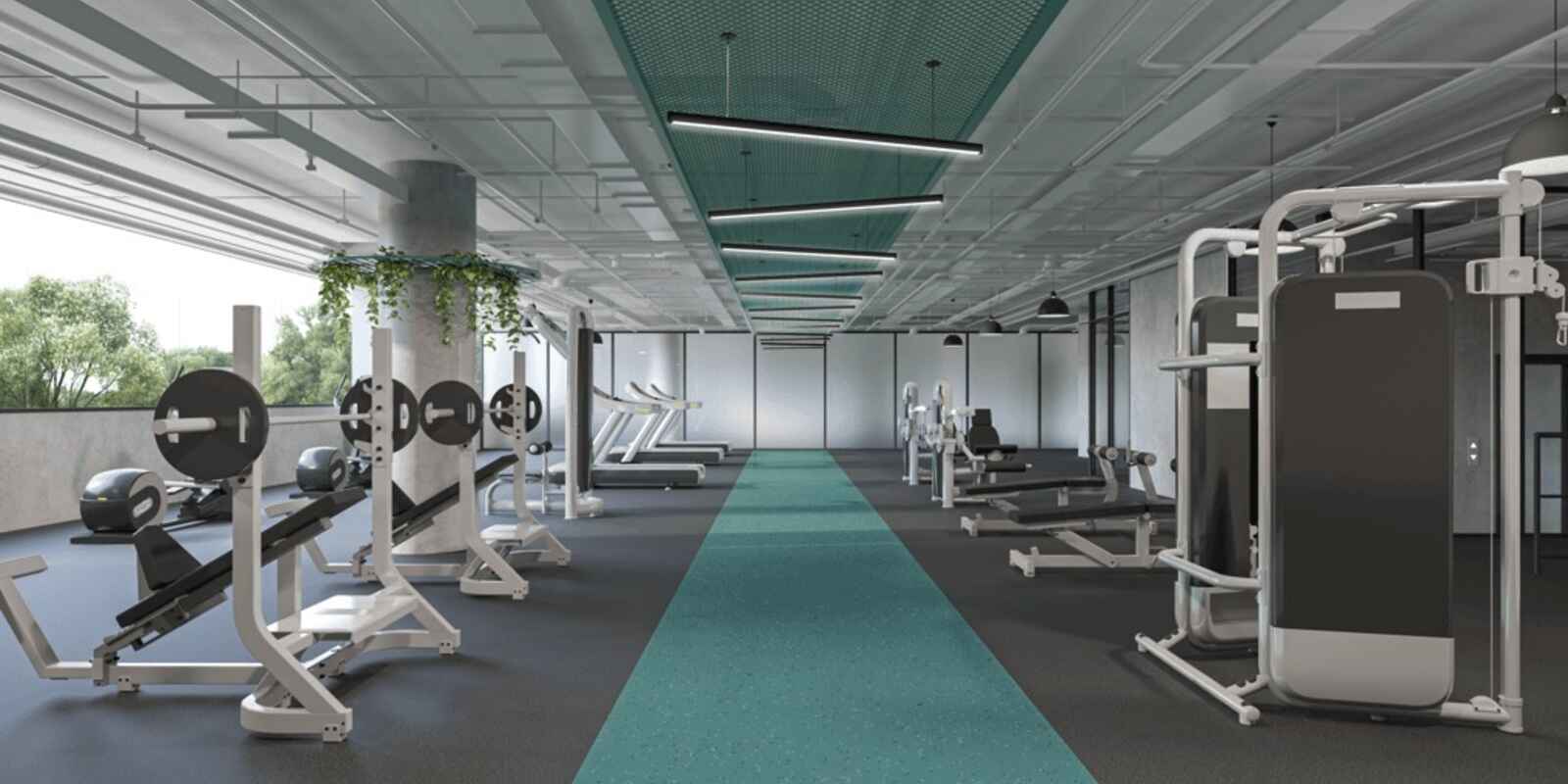 433 Canterbury Road Campsie